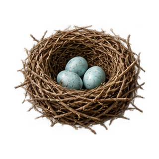 Bird’s nest