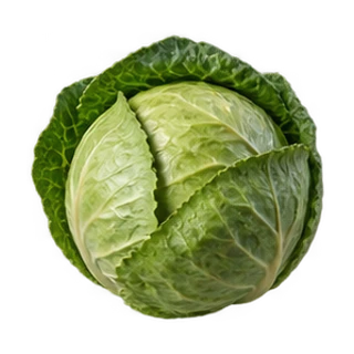 Cabbage