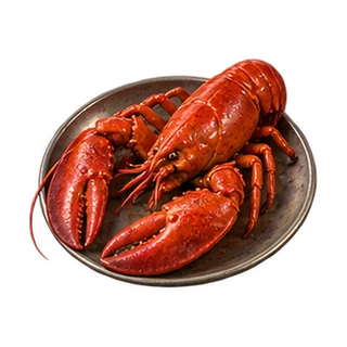 Lobster