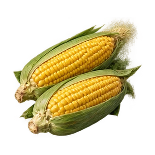 Sweetcorn