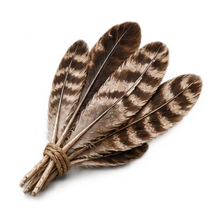 Feathers