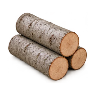 Maple timber