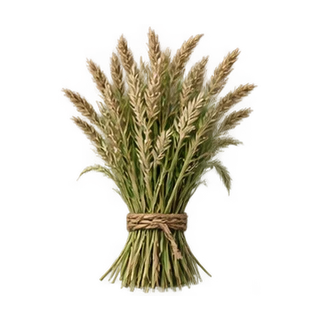 Prairie grass