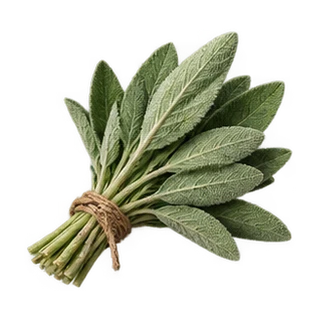 Sage Herb